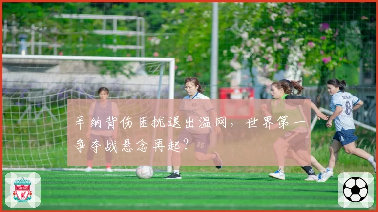 辛纳背伤困扰退出温网，世界第一争夺战悬念再起？