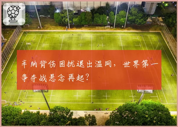 辛纳背伤困扰退出温网，世界第一争夺战悬念再起？